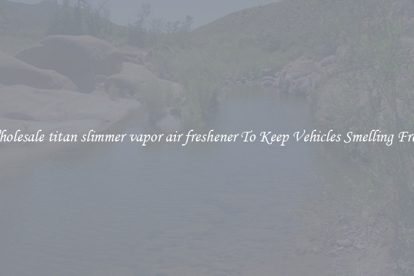 Wholesale titan slimmer vapor air freshener To Keep Vehicles Smelling Fresh