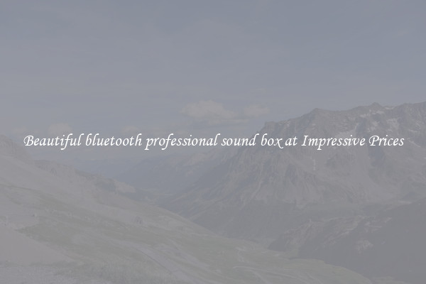 Beautiful bluetooth professional sound box at Impressive Prices