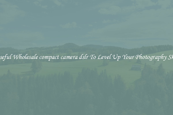 Useful Wholesale compact camera dslr To Level Up Your Photography Skill