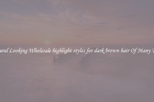 Natural Looking Wholesale highlight styles for dark brown hair Of Many Types