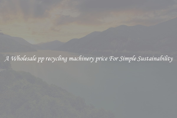  A Wholesale pp recycling machinery price For Simple Sustainability 