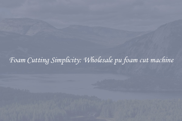 Foam Cutting Simplicity: Wholesale pu foam cut machine