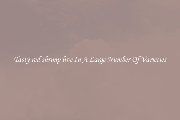 Tasty red shrimp live In A Large Number Of Varieties