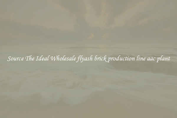 Source The Ideal Wholesale flyash brick production line aac plant