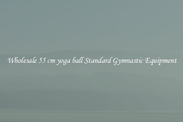 Wholesale 55 cm yoga ball Standard Gymnastic Equipment