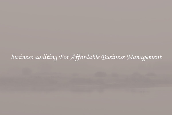 business auditing For Affordable Business Management