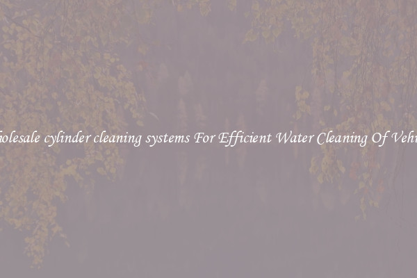 Wholesale cylinder cleaning systems For Efficient Water Cleaning Of Vehicles