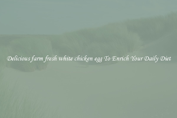 Delicious farm fresh white chicken egg To Enrich Your Daily Diet
