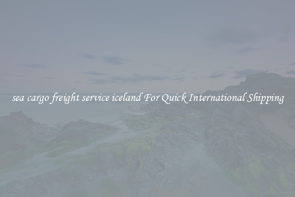 sea cargo freight service iceland For Quick International Shipping
