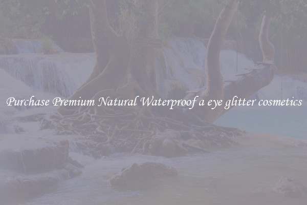 Purchase Premium Natural Waterproof a eye glitter cosmetics