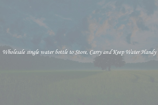 Wholesale single water bottle to Store, Carry and Keep Water Handy