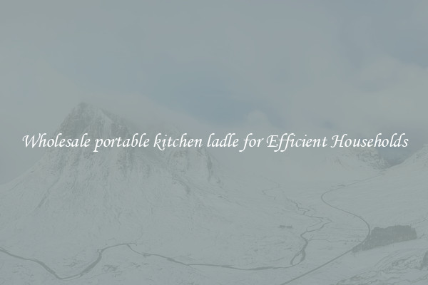 Wholesale portable kitchen ladle for Efficient Households