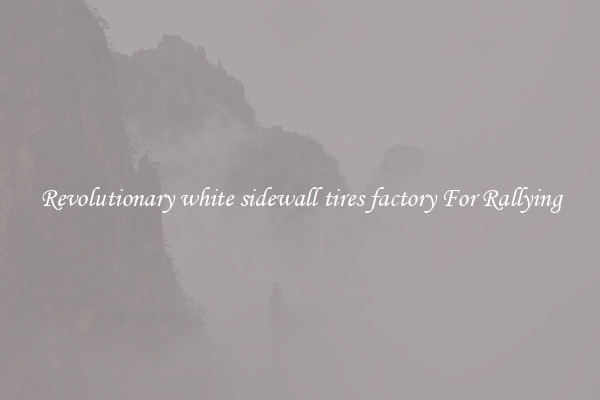 Revolutionary white sidewall tires factory For Rallying