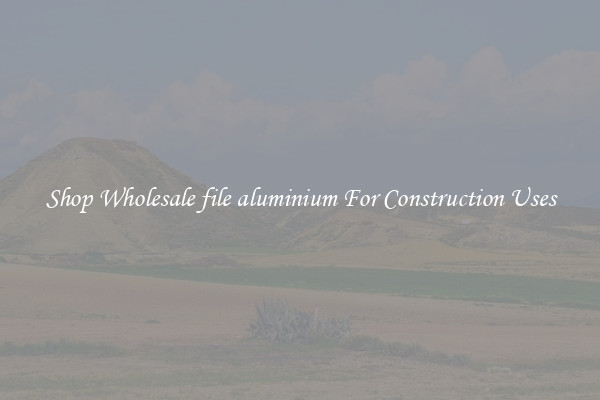 Shop Wholesale file aluminium For Construction Uses