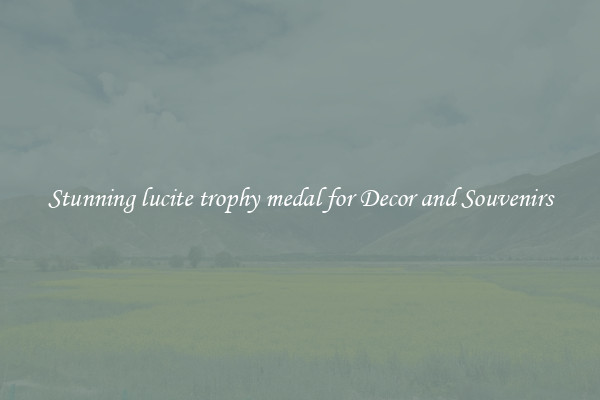 Stunning lucite trophy medal for Decor and Souvenirs