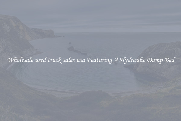 Wholesale used truck sales usa Featuring A Hydraulic Dump Bed