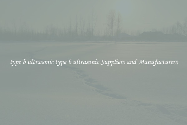 type b ultrasonic type b ultrasonic Suppliers and Manufacturers