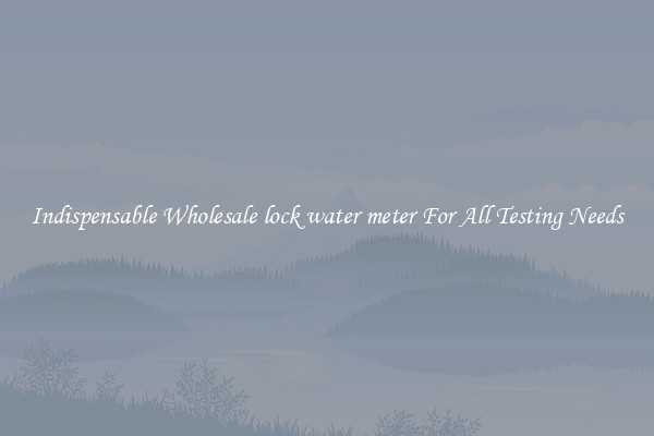 Indispensable Wholesale lock water meter For All Testing Needs