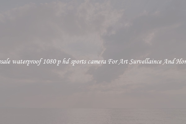 Wholesale waterproof 1080 p hd sports camera For Art Survellaince And Home Use