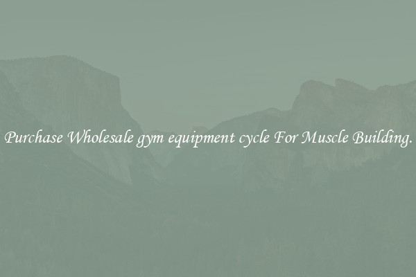 Purchase Wholesale gym equipment cycle For Muscle Building.