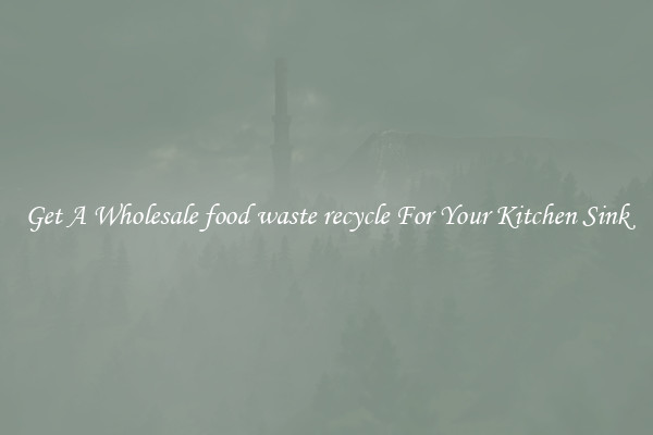 Get A Wholesale food waste recycle For Your Kitchen Sink