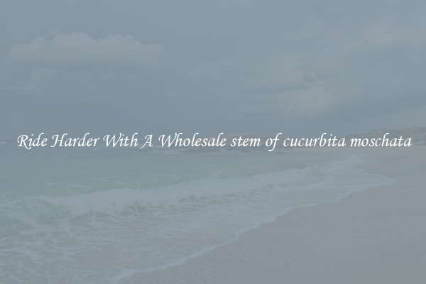 Ride Harder With A Wholesale stem of cucurbita moschata