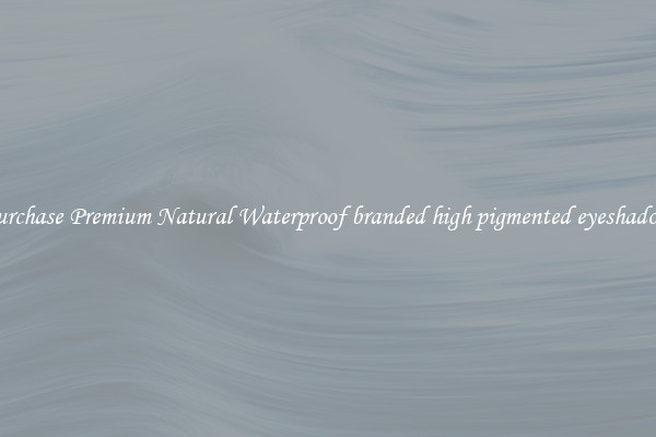 Purchase Premium Natural Waterproof branded high pigmented eyeshadow