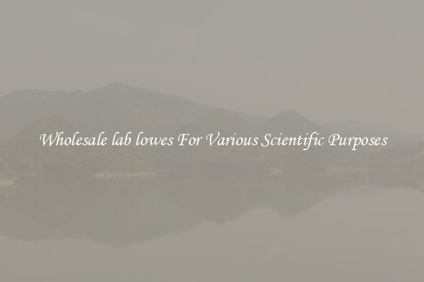 Wholesale lab lowes For Various Scientific Purposes