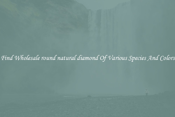 Find Wholesale round natural diamond Of Various Species And Colors
