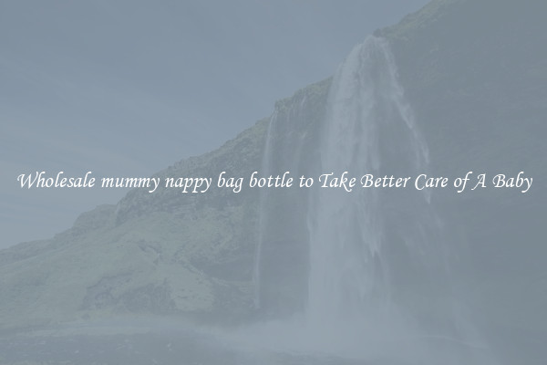Wholesale mummy nappy bag bottle to Take Better Care of A Baby