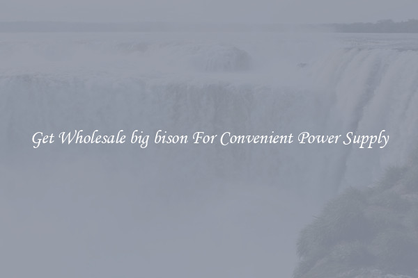Get Wholesale big bison For Convenient Power Supply